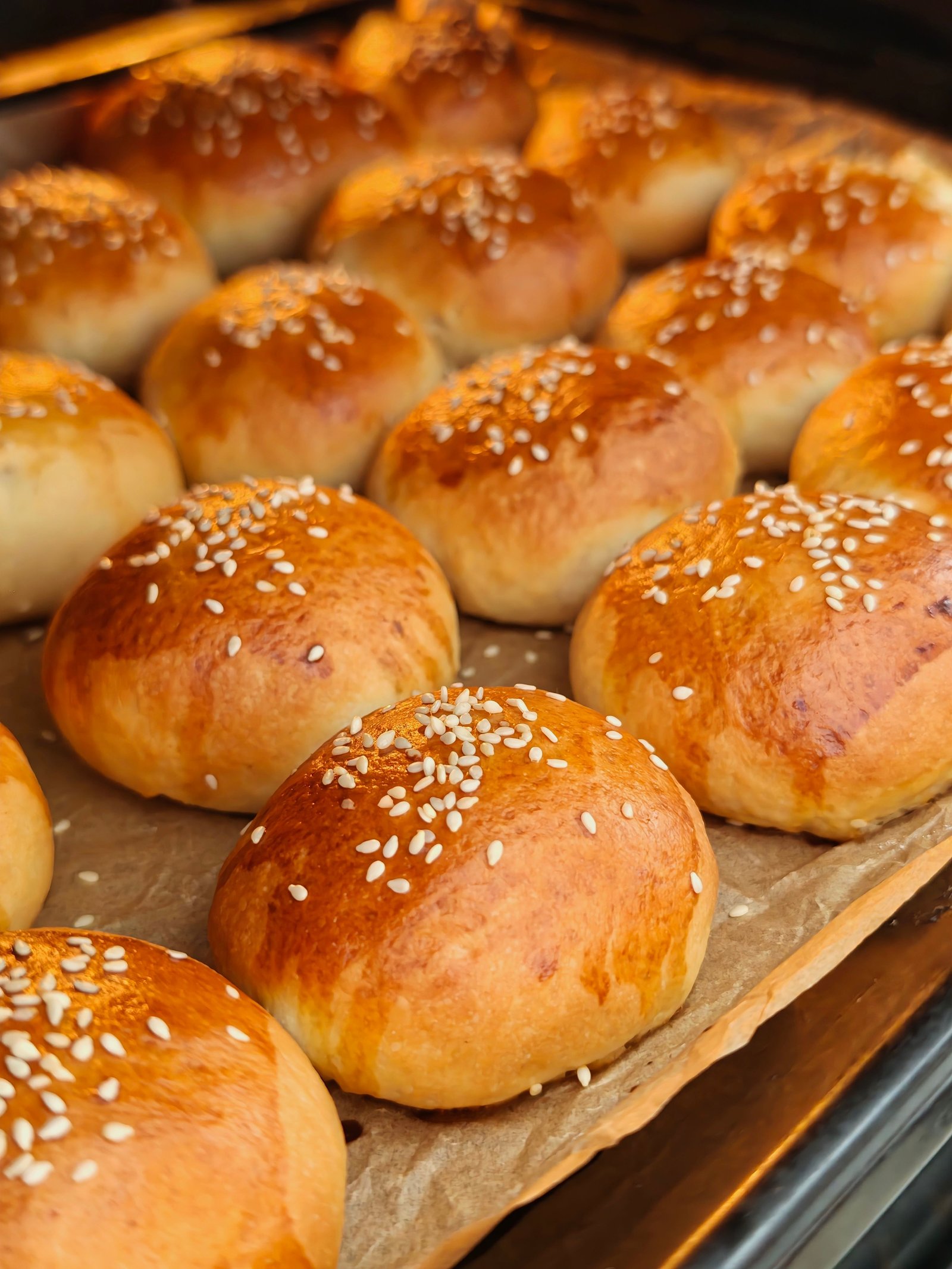 Fresh baked sesame buns